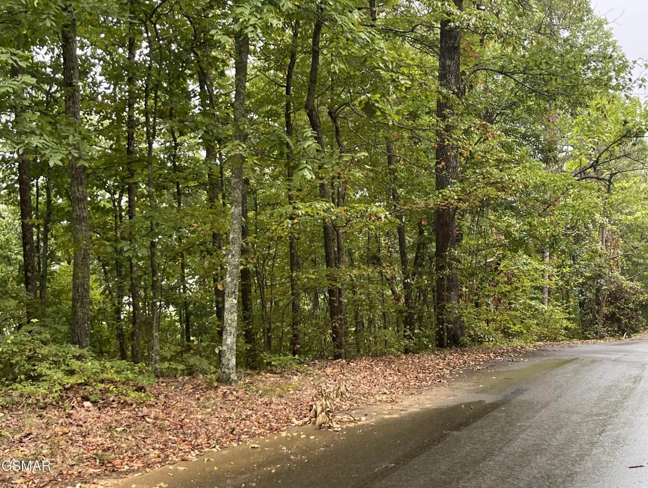 2643/2647 Sawmill Branch Drive - Photo 1