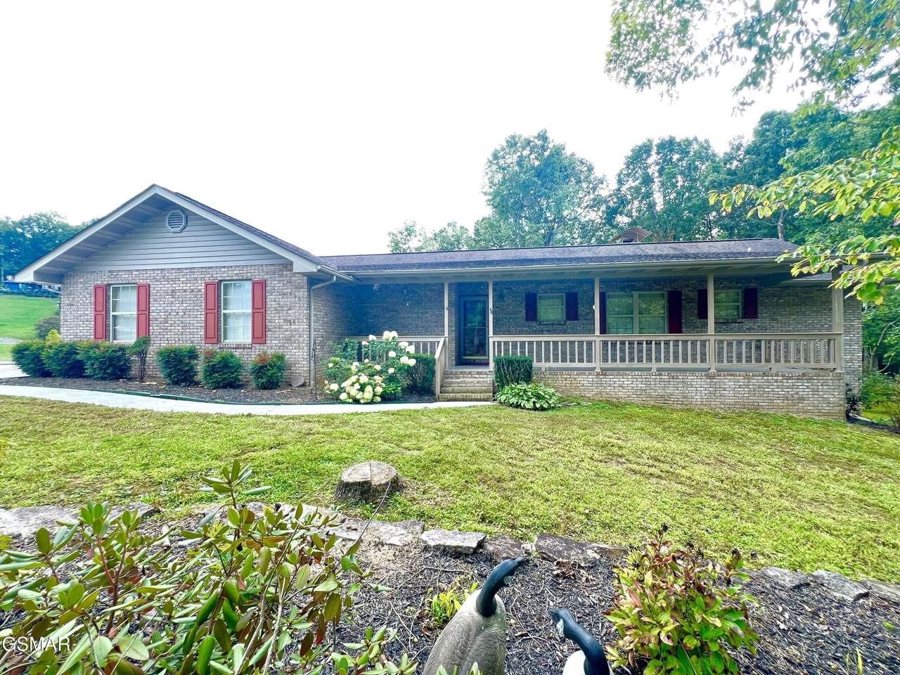 3661 Boxwood Lane - Photo 1