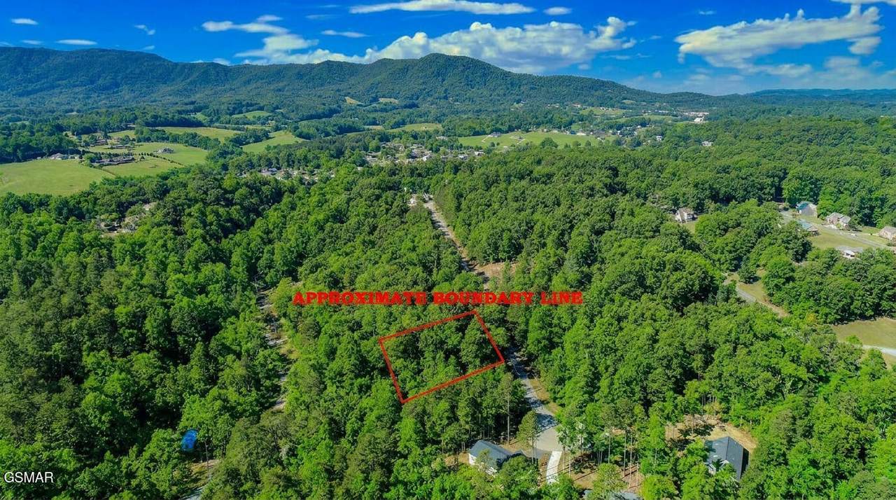 1413 Timber Trail - Photo 1