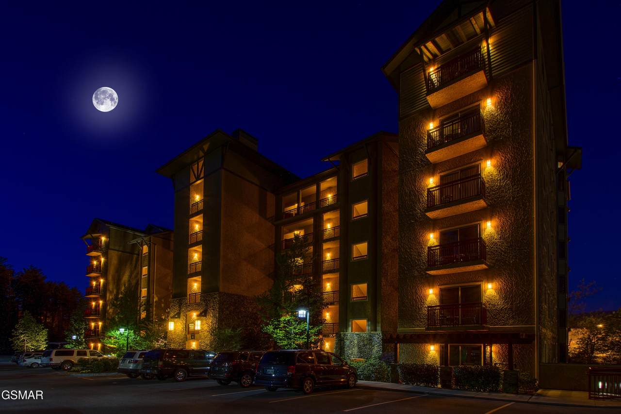 212 Dollywood Lane - Photo 1