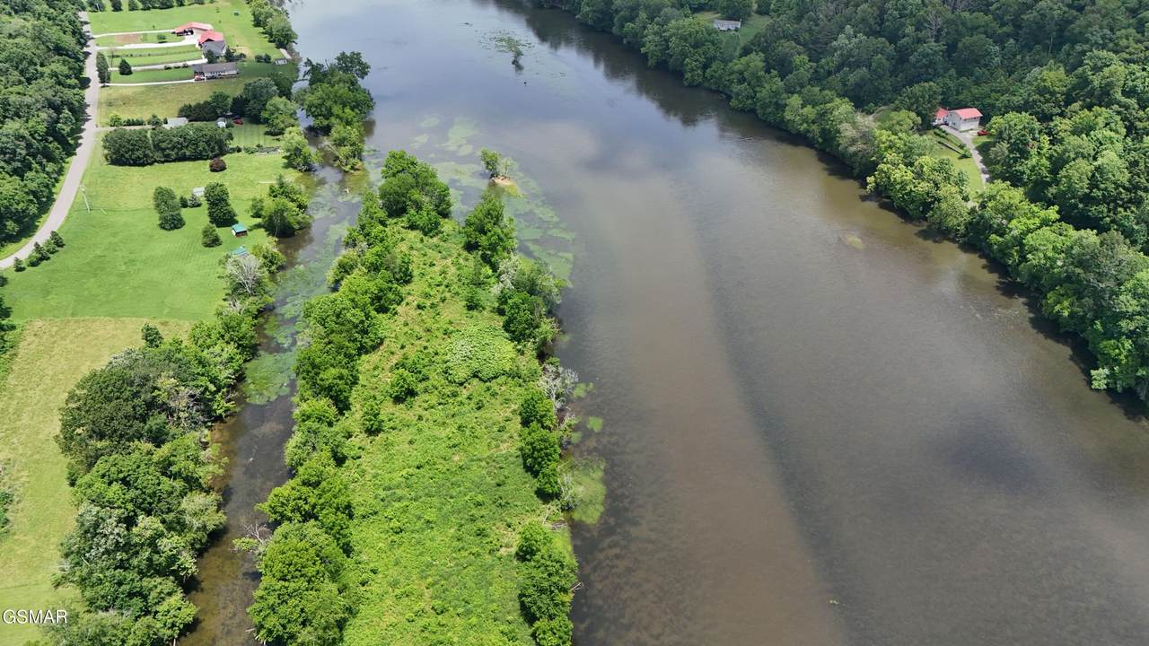 Lot 8 Holston Shores Drive - Photo 1