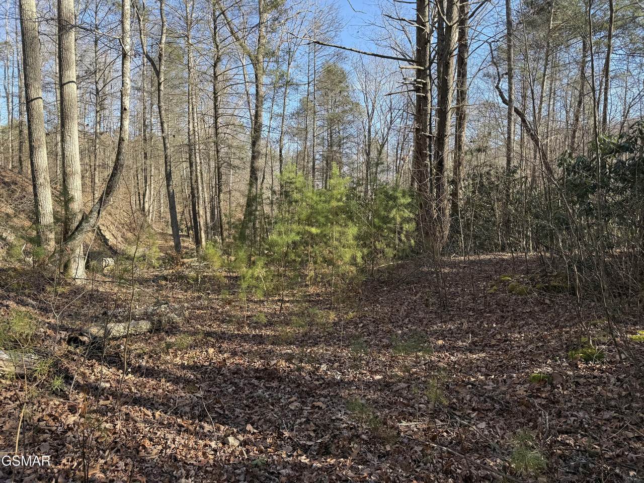 805 Bogard Creek Road - Photo 1