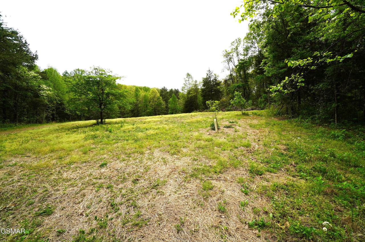 Tract 19 Pleasant View Cemetery Road - Photo 1
