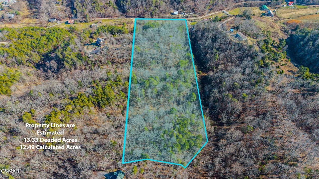 230-3 Reagan Branch Road - Photo 1