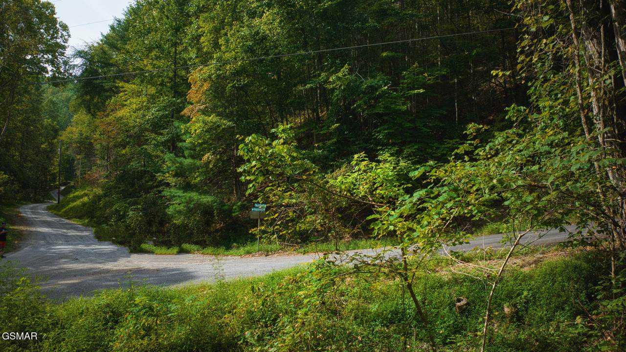 Lot 9-11 Stepping Stone Drive - Photo 1