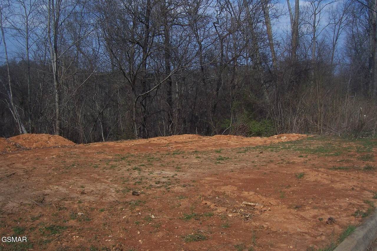 Lot 141 Low Valley Rd Road - Photo 1