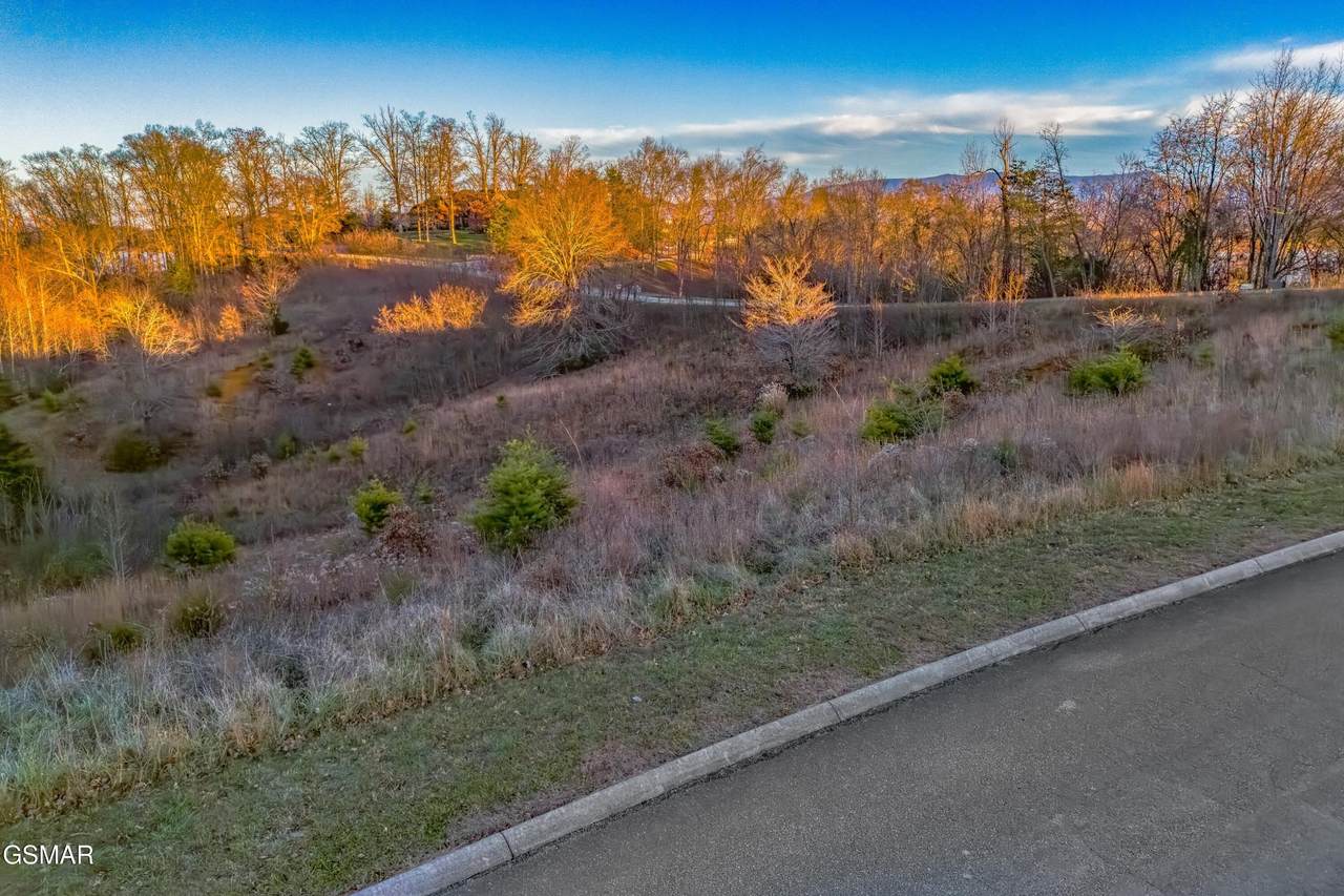 Lot 61 River Bend Drive - Photo 1