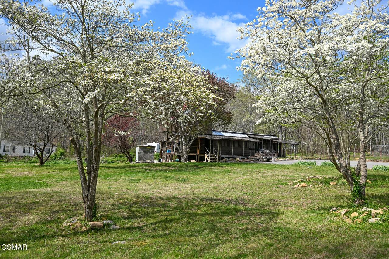 https://bt-photos.global.ssl.fastly.net/gsmar/1280_boomver_2_310948-2.jpg