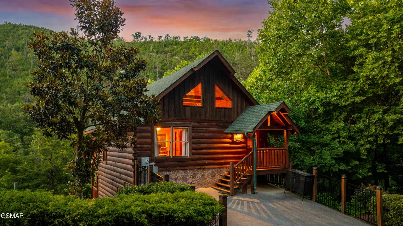 830 Black Bear Cub Way - Photo 1
