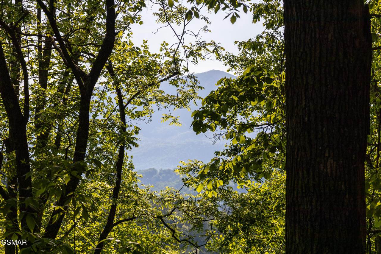 https://bt-photos.global.ssl.fastly.net/gsmar/1280_boomver_1_311456-2.jpg