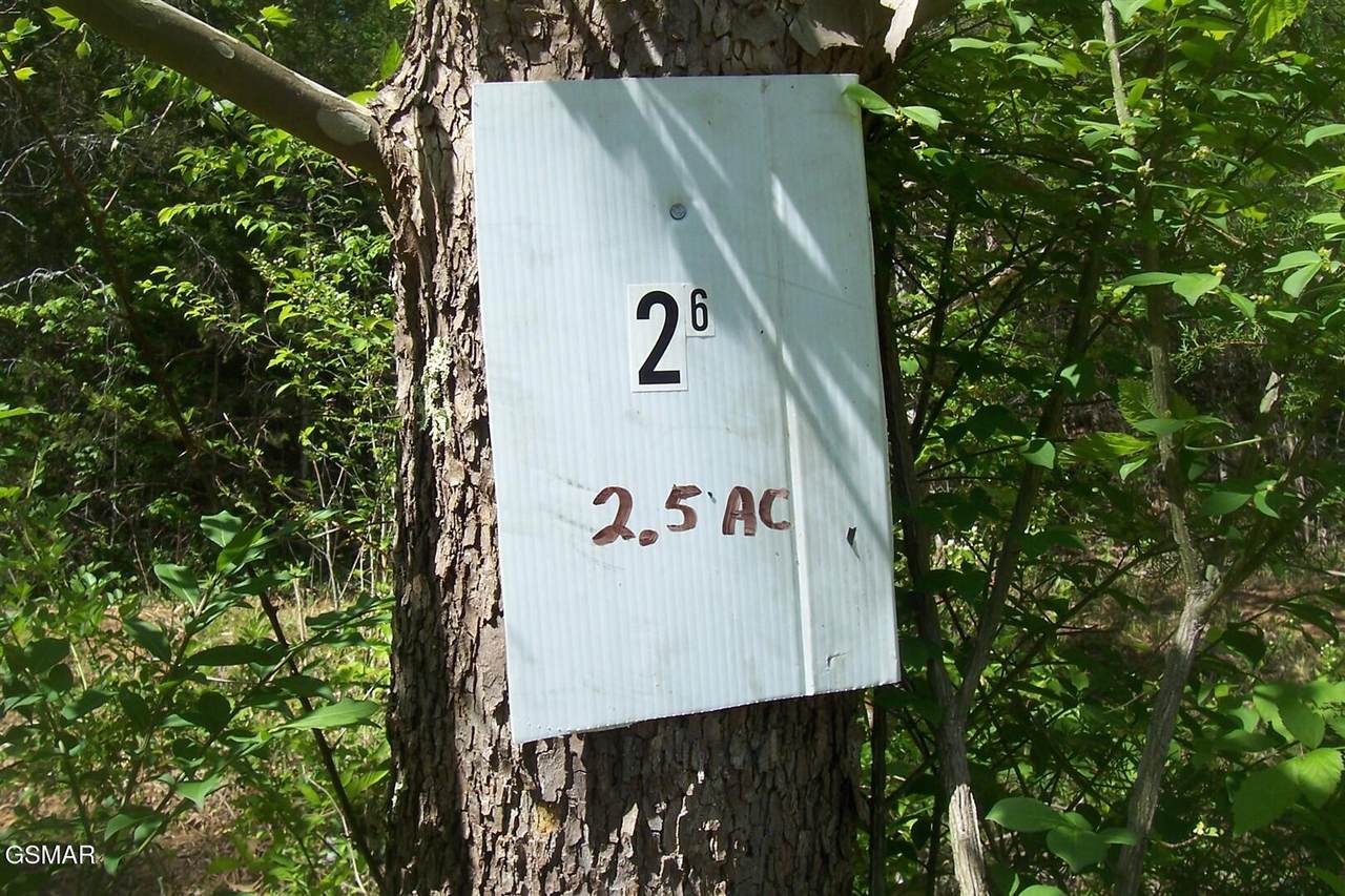 https://bt-photos.global.ssl.fastly.net/gsmar/1280_boomver_1_311805-2.jpg
