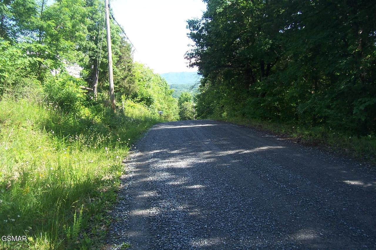 Lot 21 Clearwood Road - Photo 1