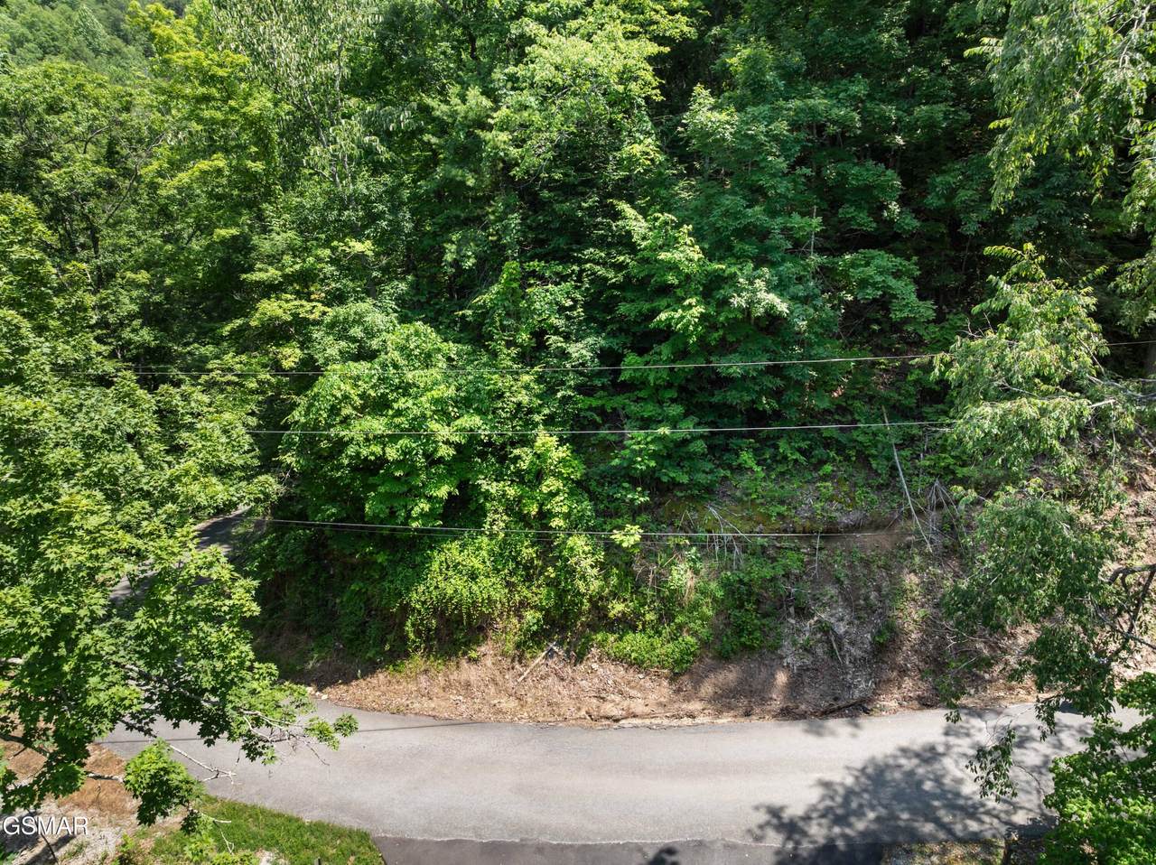 Lot 0006 Wildcat Ridge Road - Photo 1