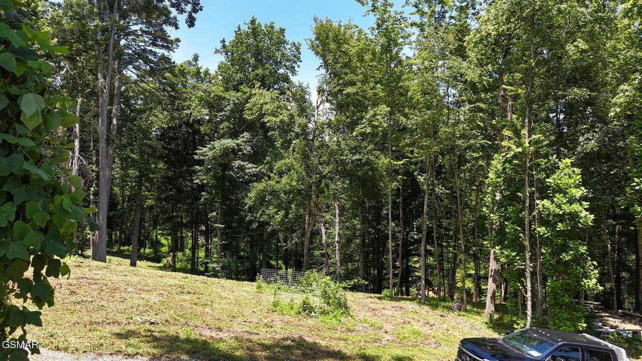 https://bt-photos.global.ssl.fastly.net/gsmar/1280_boomver_2_312721-2.jpg