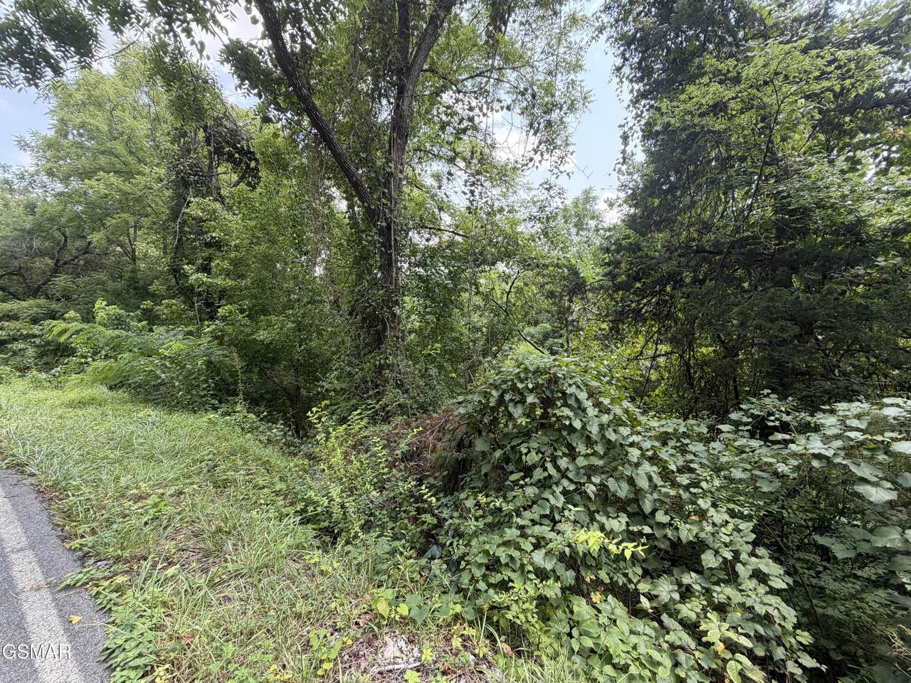 https://bt-photos.global.ssl.fastly.net/gsmar/1280_boomver_2_313016-2.jpg
