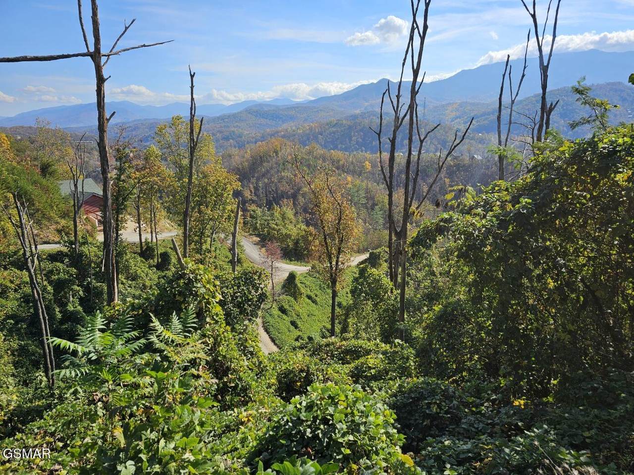 https://bt-photos.global.ssl.fastly.net/gsmar/1280_boomver_2_313283-2.jpg