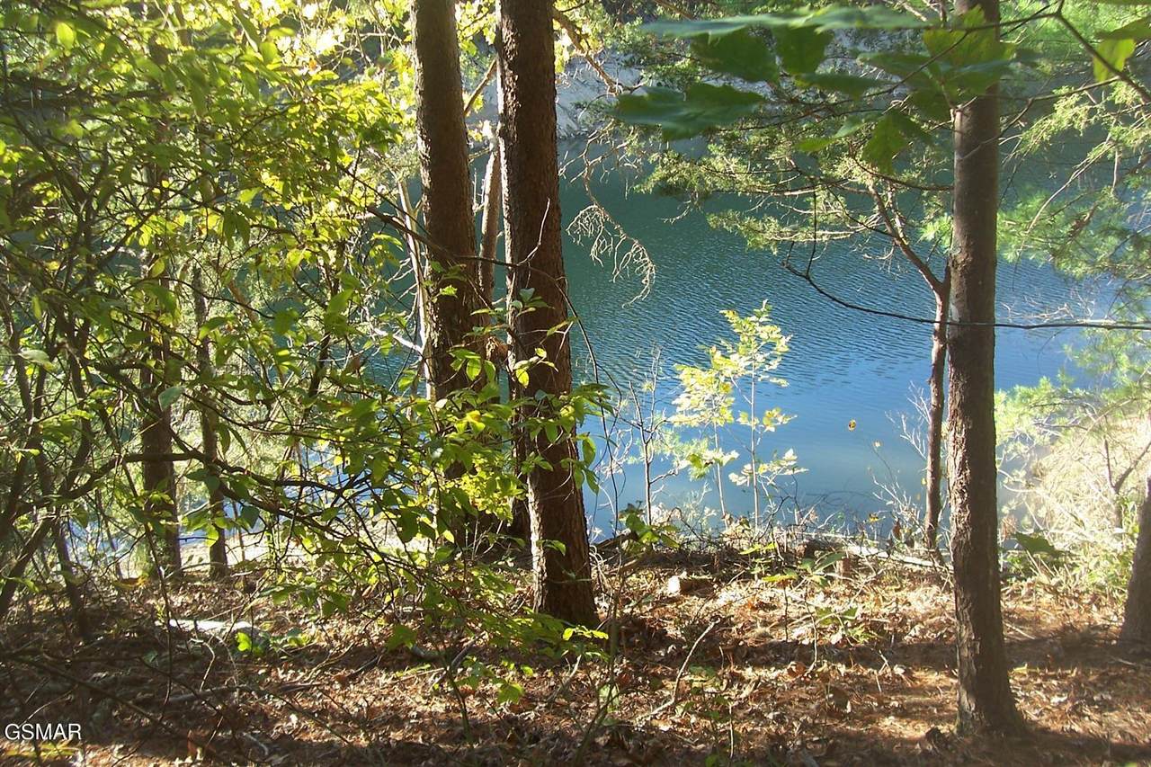 Lot 20 Scott St - Photo 1