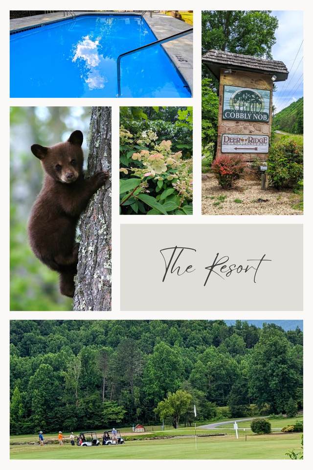 849 Vixen Run - Photo 1