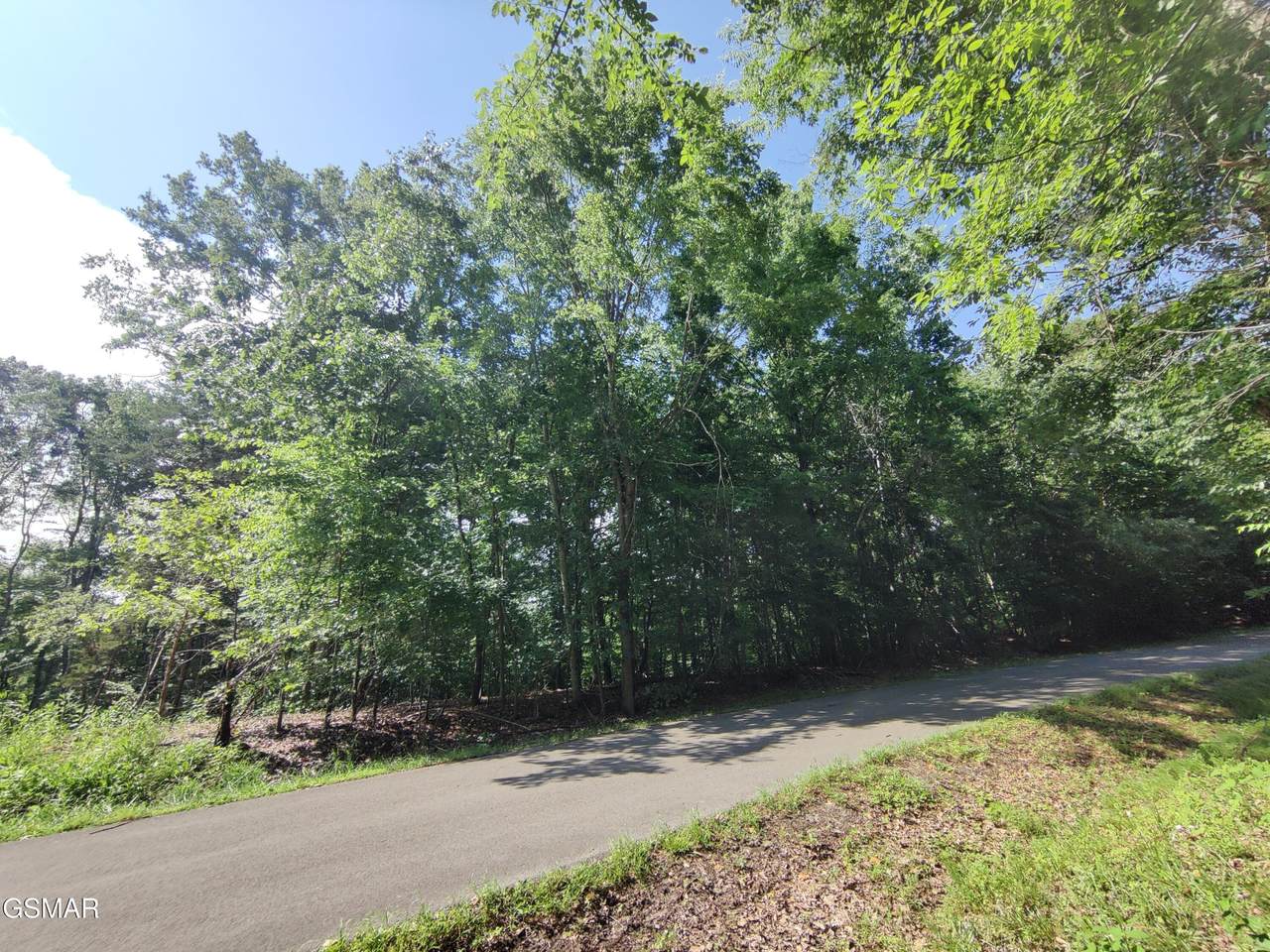 3347 Mountain View Lane - Photo 1