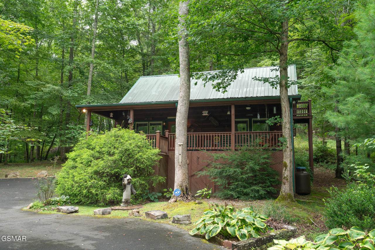 3905 Fern Brook Way Way - Photo 1