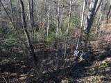 Lot 53 Butternut Lane - Photo 4
