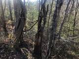 Lot 53 Butternut Lane - Photo 6