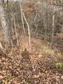 - Gold Dust Drive - Photo 6