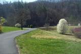 Par 103.02 Mccarter Hollow Road - Photo 16