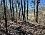 Lot 30 Walden Cove Way - Photo 1