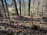 Lot 30 Walden Cove Way - Photo 10