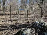 Lot 30 Walden Cove Way - Photo 11