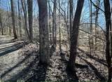 Lot 30 Walden Cove Way - Photo 4