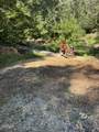 1628 Valley Rd Road - Photo 7