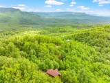817 Big Bear Ridge Road - Photo 2