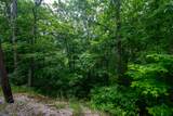 Lot 15 Overholt Trail - Photo 4