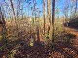 Lot 26 Walden Cove Way - Photo 11