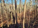 Lot 26 Walden Cove Way - Photo 13