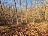 Lot 26 Walden Cove Way - Photo 15