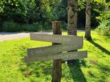 Lot 26 Walden Cove Way - Photo 25
