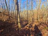 Lot 26 Walden Cove Way - Photo 4