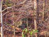 Lot 26 Walden Cove Way - Photo 7