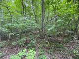 1884 Woodland Way - Photo 13