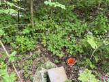 1884 Woodland Way - Photo 19