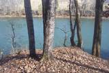 1991 River Mist Circle - Photo 2