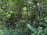 Lot 19 English Fields Drive - Photo 7