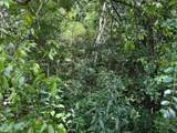 Lot 19 English Fields Drive - Photo 8