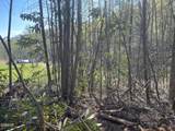 1120 Yellow Springs Road - Photo 12