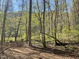 1120 Yellow Springs Road - Photo 17