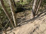 1120 Yellow Springs Road - Photo 18