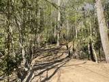 1120 Yellow Springs Road - Photo 20